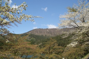 半田山
