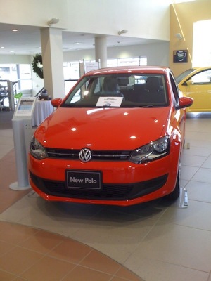 Polo!