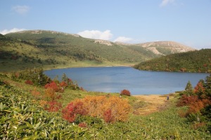 鎌沼