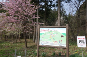 東根山
